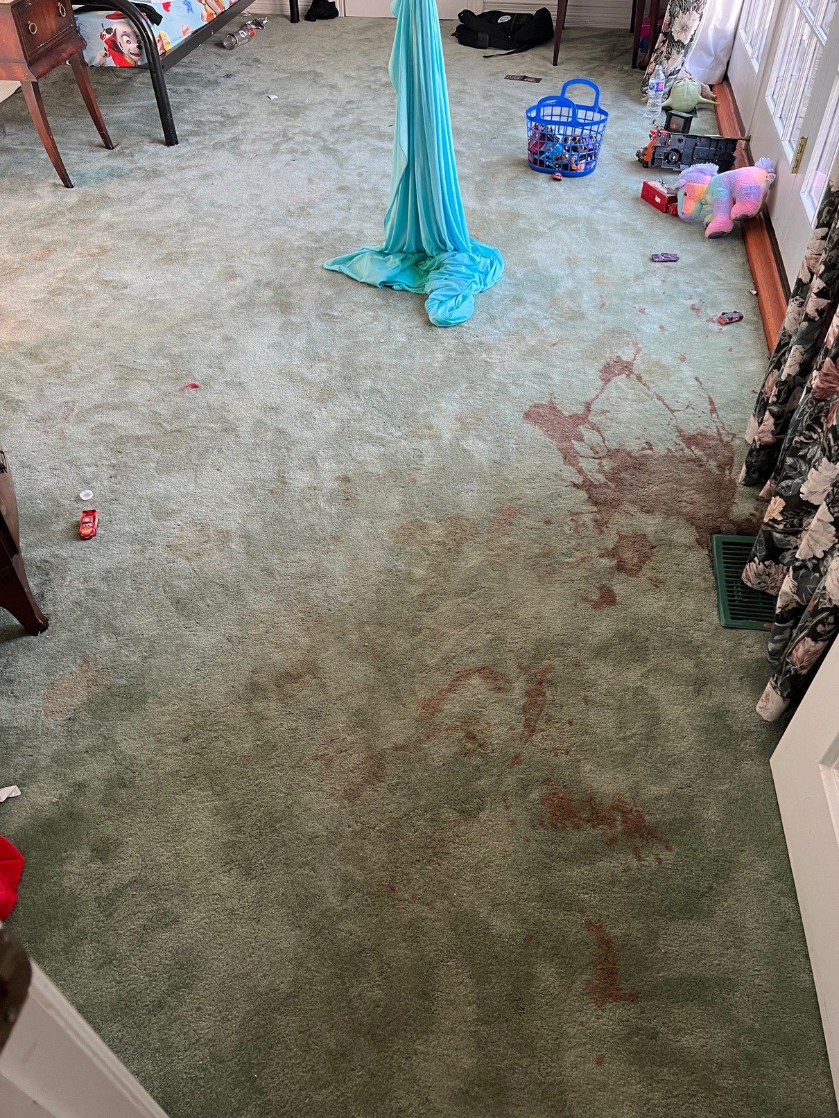 toronto carpet cleaning