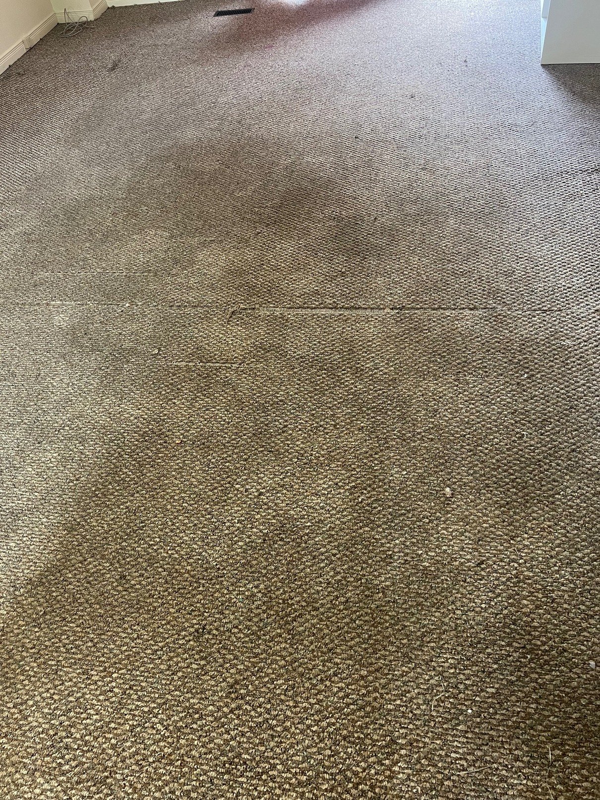 toronto carpet cleaning